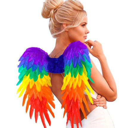 VEREN VLEUGELS REGENBOOG OPVOUWBAAR 50 X 50 CM van Widmann koop je bij Partywinkel