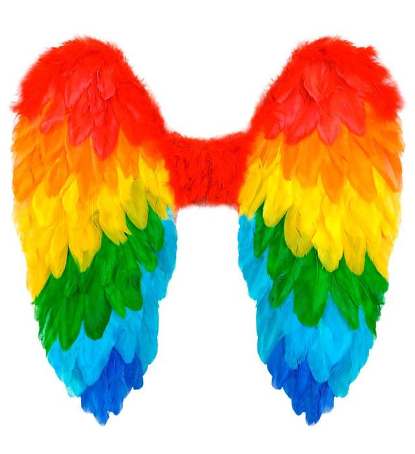 VEREN VLEUGELS REGENBOOG OPVOUWBAAR 50 X 50 CM van Widmann koop je bij Partywinkel