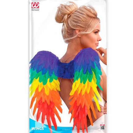 VEREN VLEUGELS REGENBOOG OPVOUWBAAR 50 X 50 CM van Widmann koop je bij Partywinkel