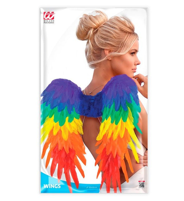 VEREN VLEUGELS REGENBOOG OPVOUWBAAR 50 X 50 CM van Widmann koop je bij Partywinkel