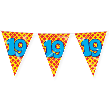 Vlaggenlijn 19 Jaar Gekleurd 10m van Paper Dreams koop je bij Partywinkel