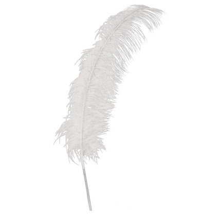 Witte Struisvogelveren 50cm 12st van Fiestas Guirca koop je bij Partywinkel