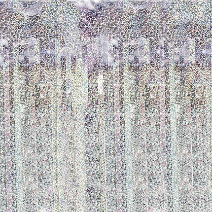 Zilveren Deurgordijn Holografisch 2,5m van Partydeco koop je bij Partywinkel